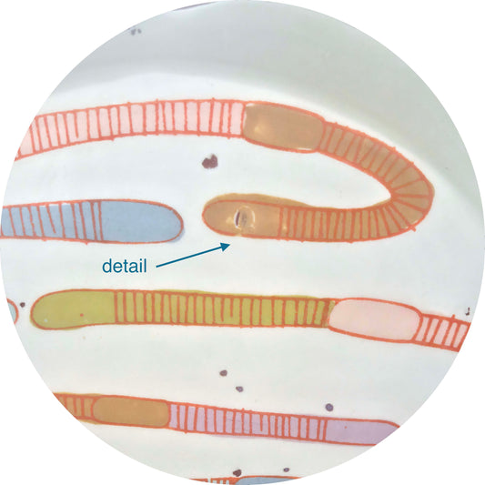 SALE: Worms Dinner Plate