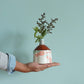 Overlay Collection Bud Vase Pink Geese