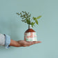 Overlay Collection Bud Vase Pink Geese
