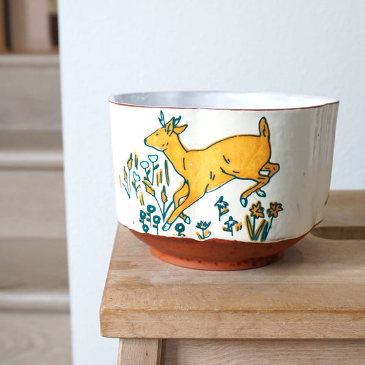 Field Studies Cereal Bowl