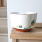 Field Studies Cereal Bowl