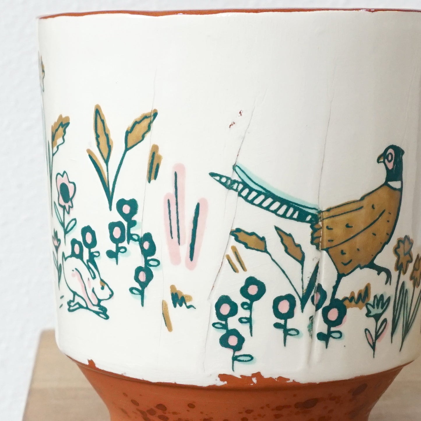 Field Studies Mug