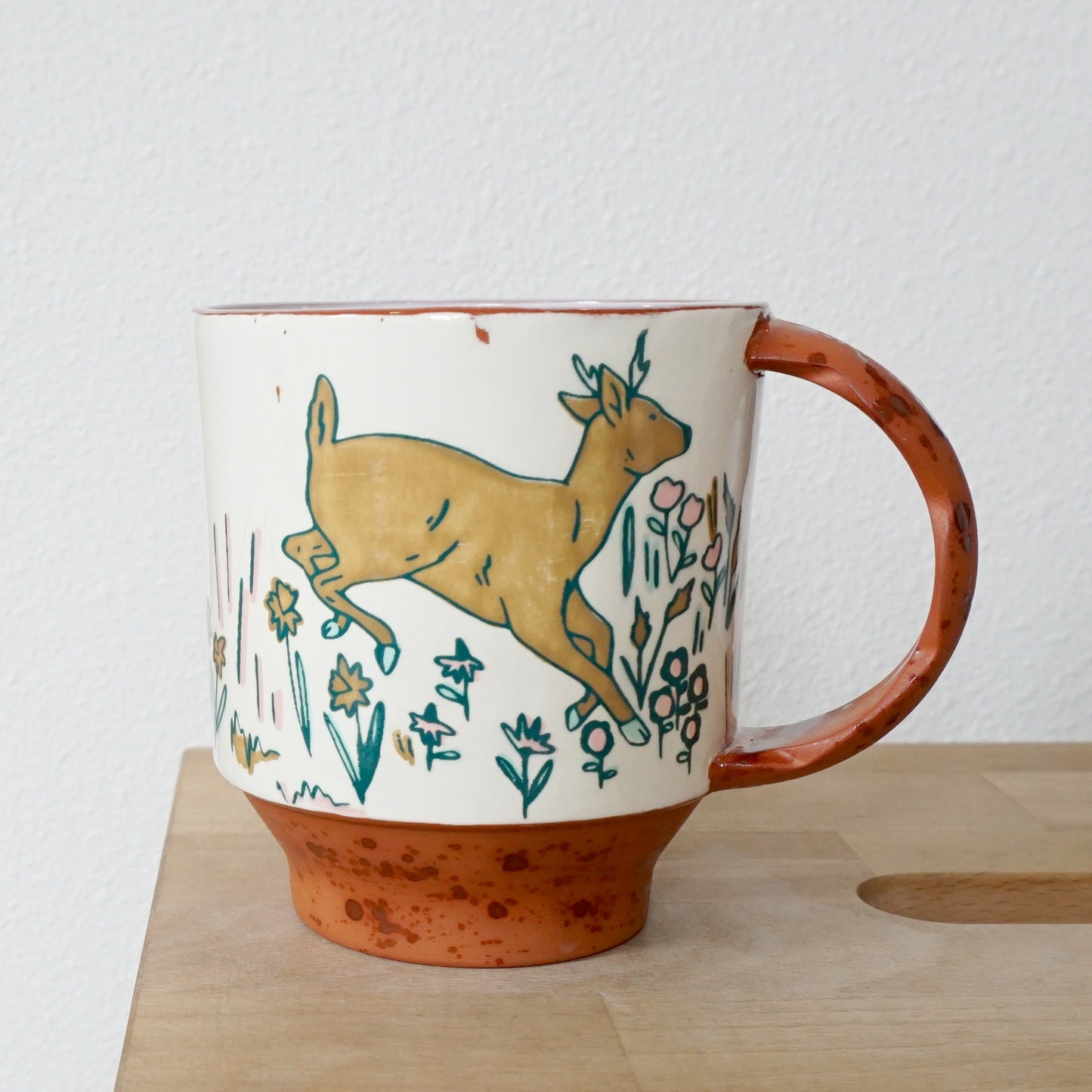 Field Studies Mug