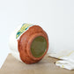 Minnow Bait Dip Bowl