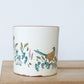 Field Studies Mug