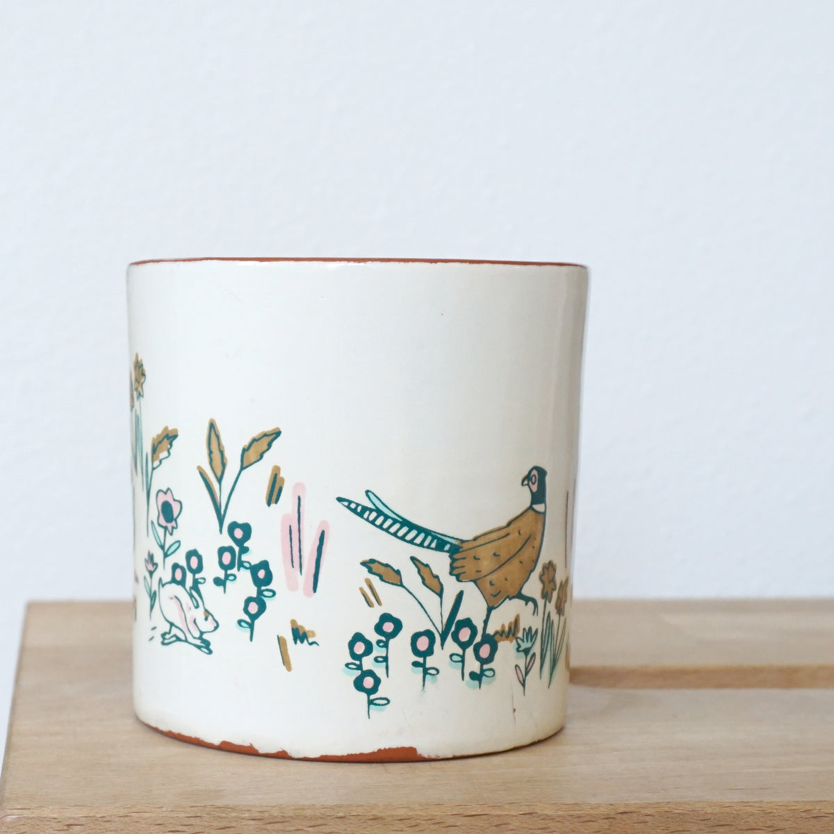 Field Studies Mug