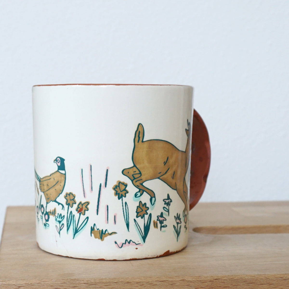 Field Studies Mug