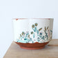 Field Studies Cereal Bowl