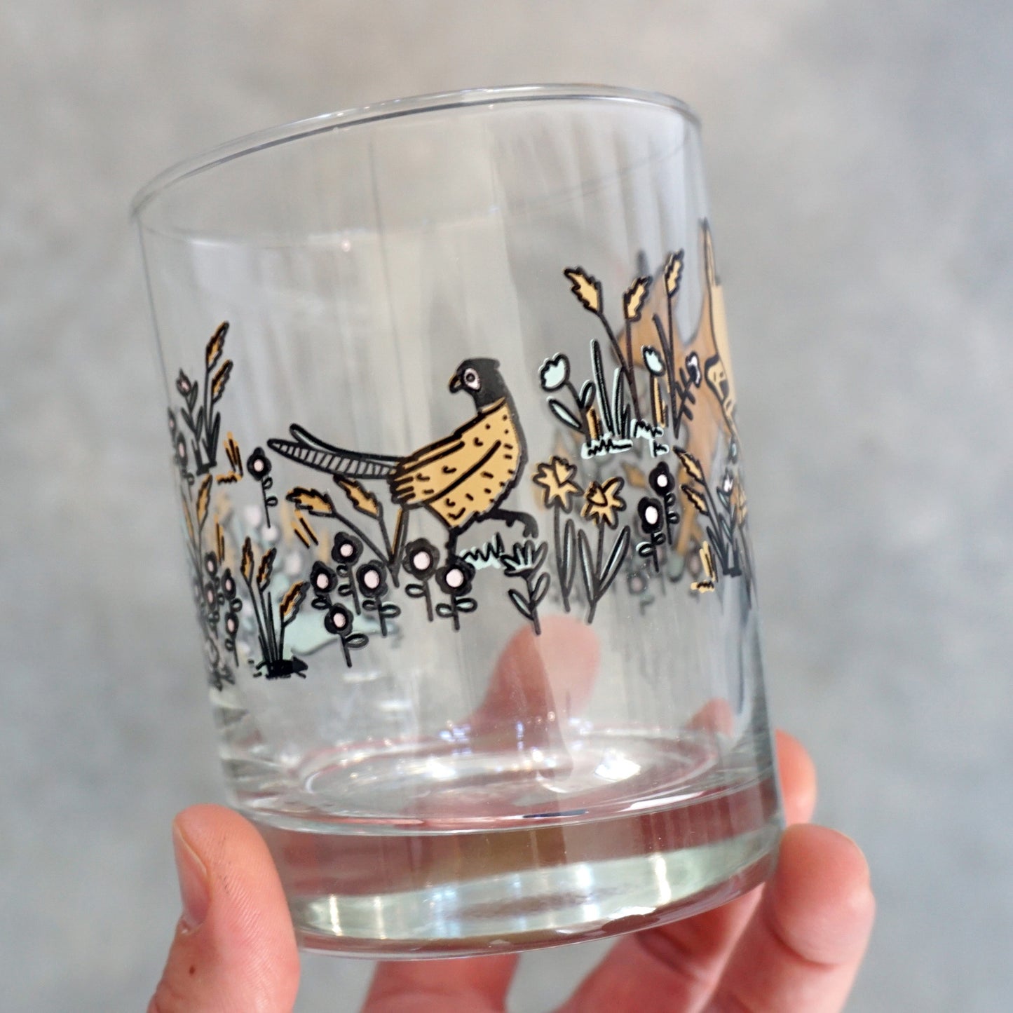 Field Studies Rocks Glass - Wholesale