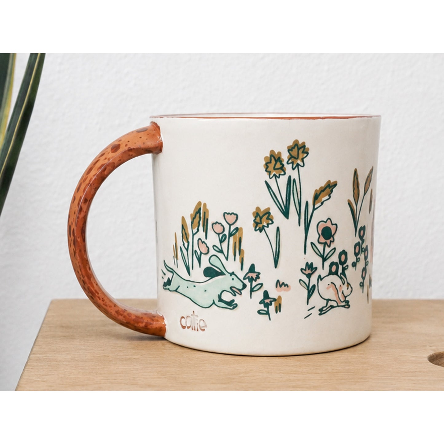Field Studies Mug