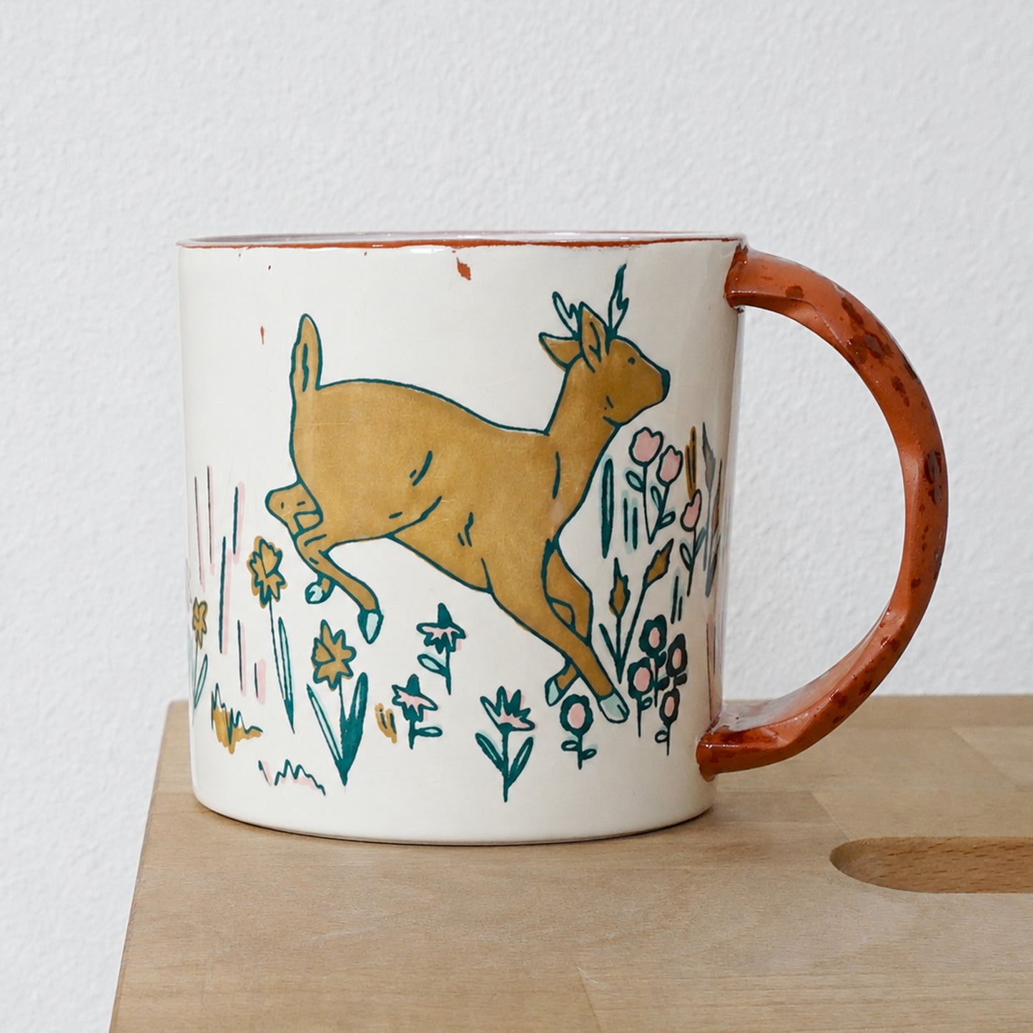 Field Studies Mug