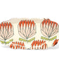 MADE TO ORDER Oval Platter