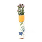Orange Flora Narrow Vase