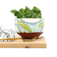 MADE TO ORDER Cereal Bowl